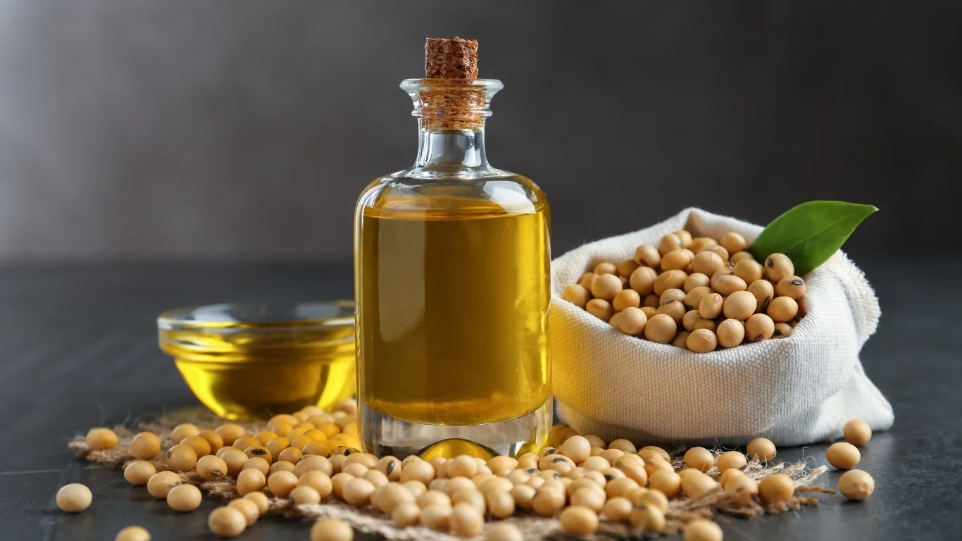 Soya Yağı